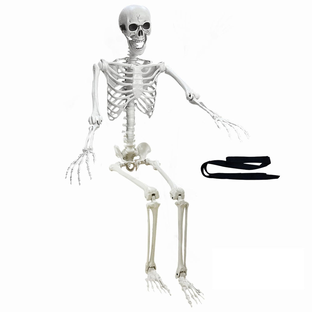 5.4Ft Poseable Life Size Human Skeleton with Rope X28574