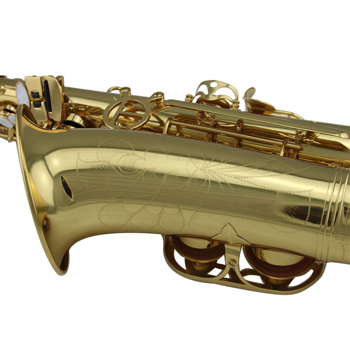 Gold Lacquer Alto Saxophone Set N240