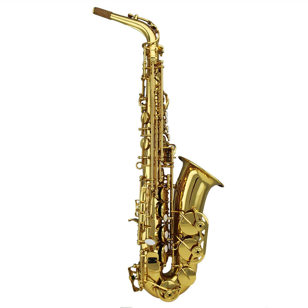 Gold Lacquer Alto Saxophone Set N240