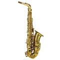 Gold Lacquer Alto Saxophone Set N240