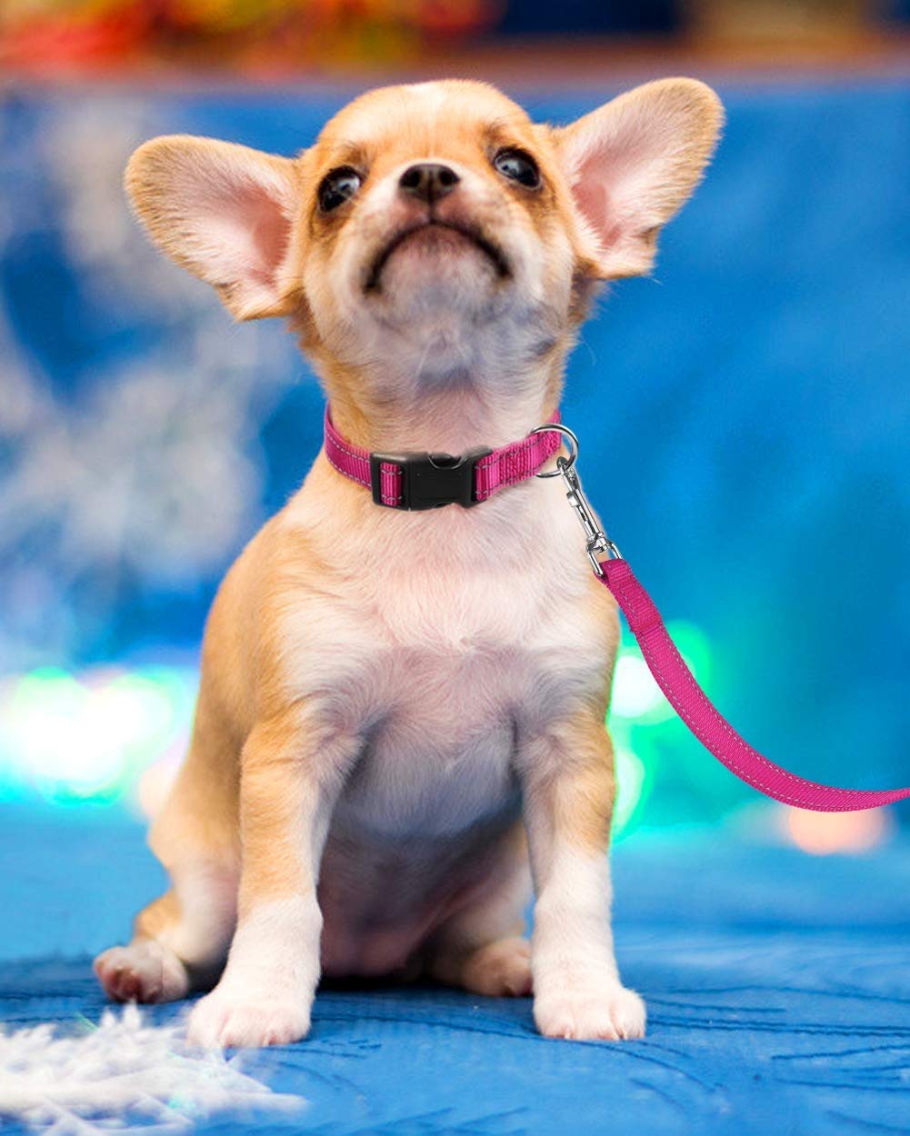 Reflective Adjustable Pink Dog Collar K1472