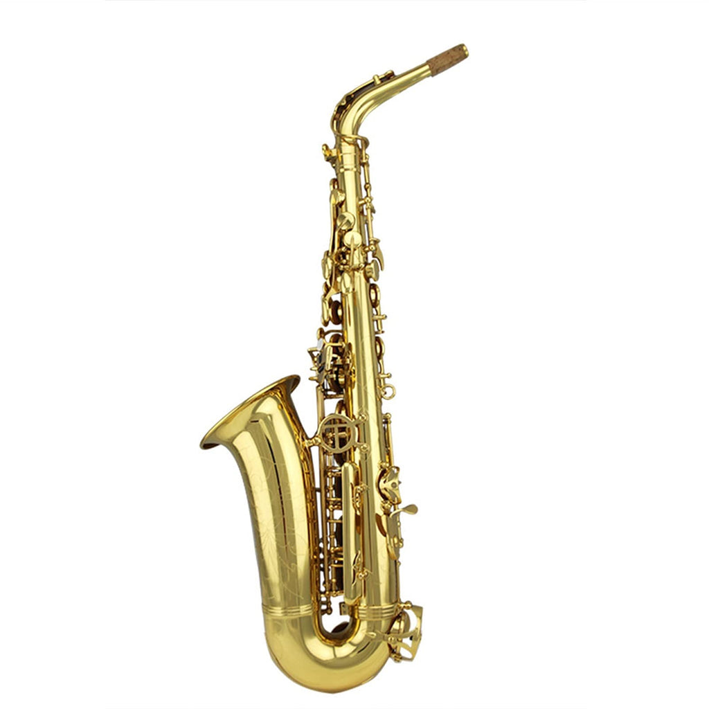 Gold Lacquer Alto Saxophone Set N240