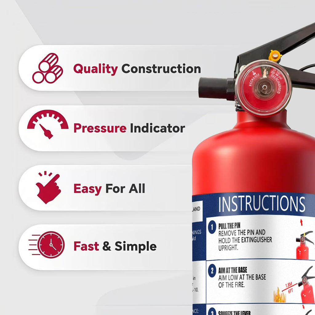 2.5 lb Dry Chemical Fire Extinguisher D920