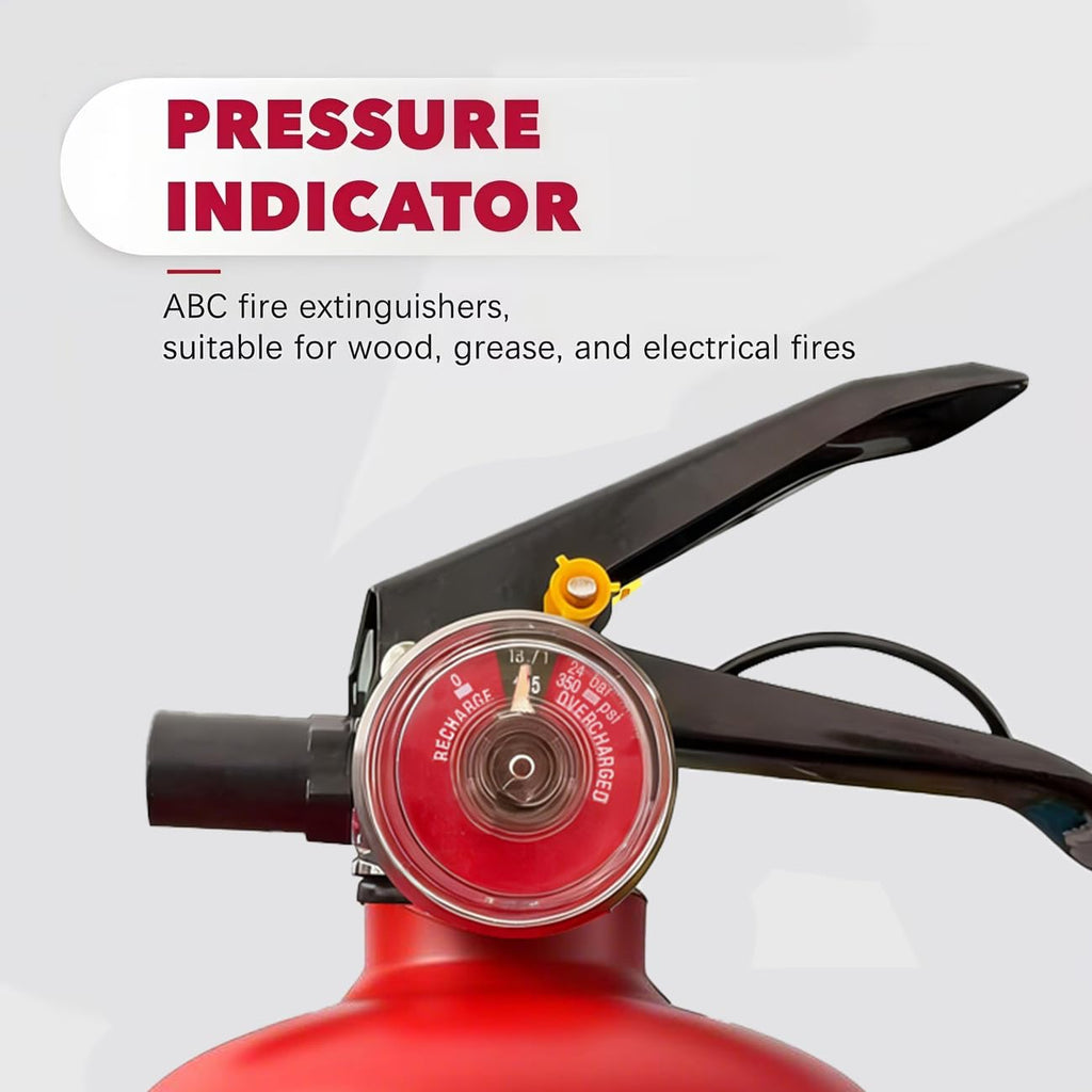 2.5 lb Dry Chemical Fire Extinguisher D920