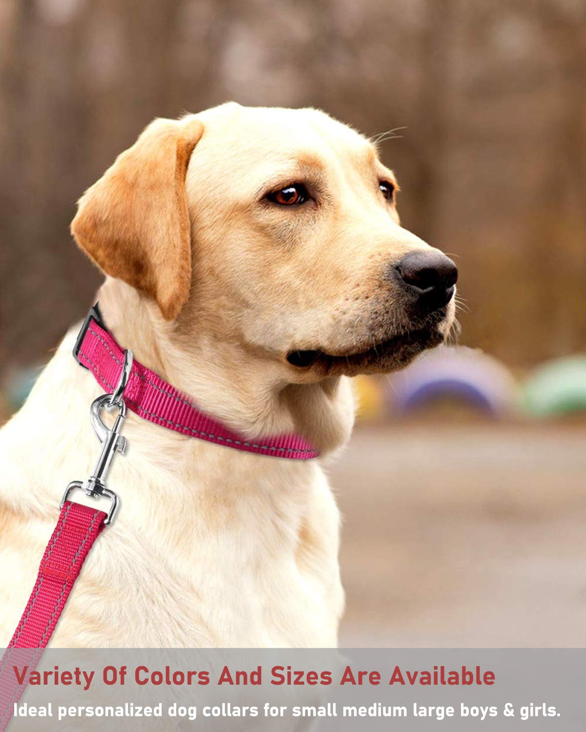 Reflective Adjustable Pink Dog Collar K1472