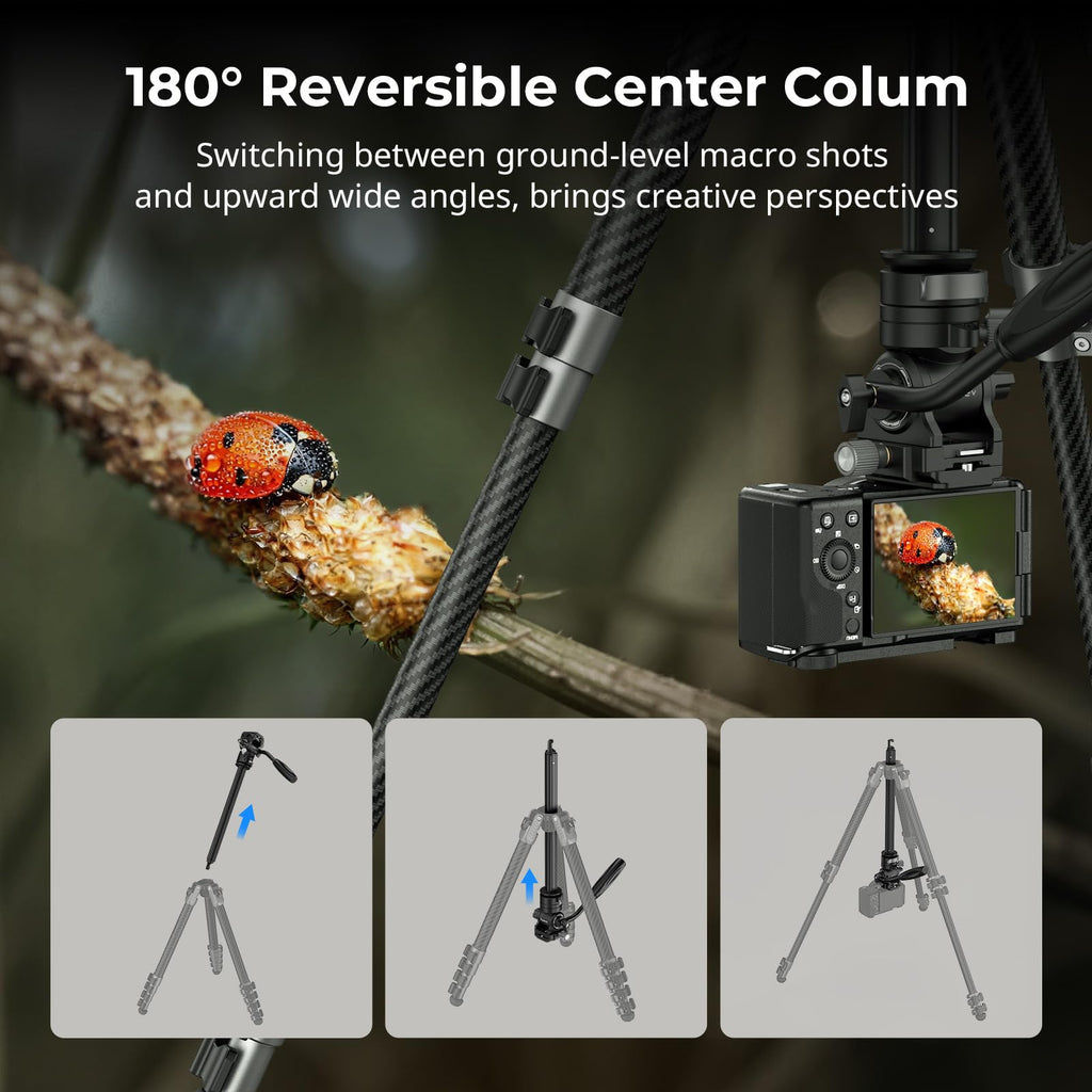 Carbon Fiber Video Tripod with Fluid Head P3573