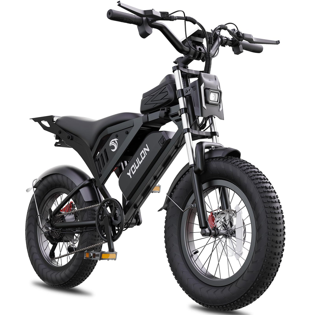 Electric Bike P238