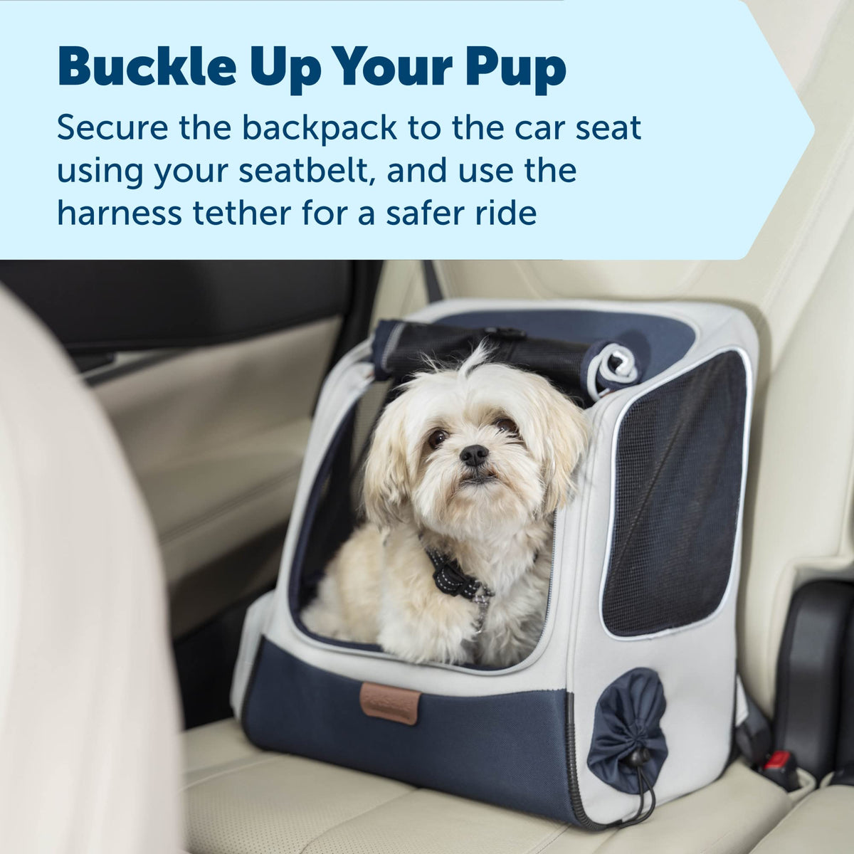 Pet Carrier Y253