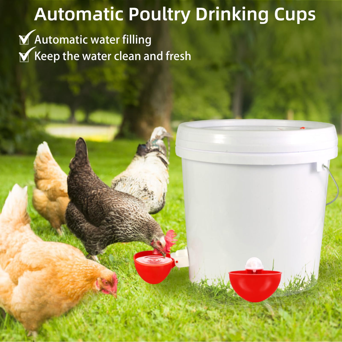 Chicken Waterer Cups D6996
