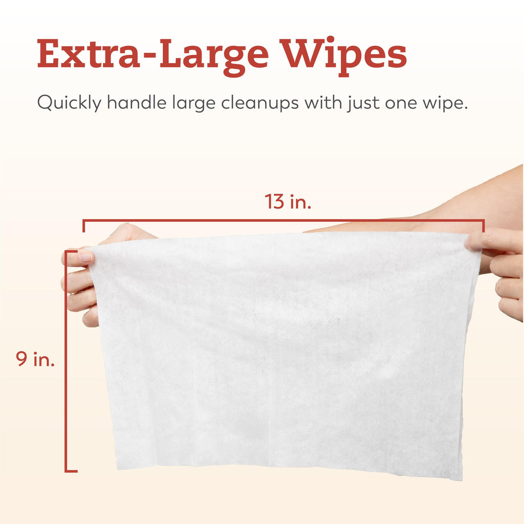 Large Briefs Starter Pack, 2 Bags + Cleansing Wipes P4751
