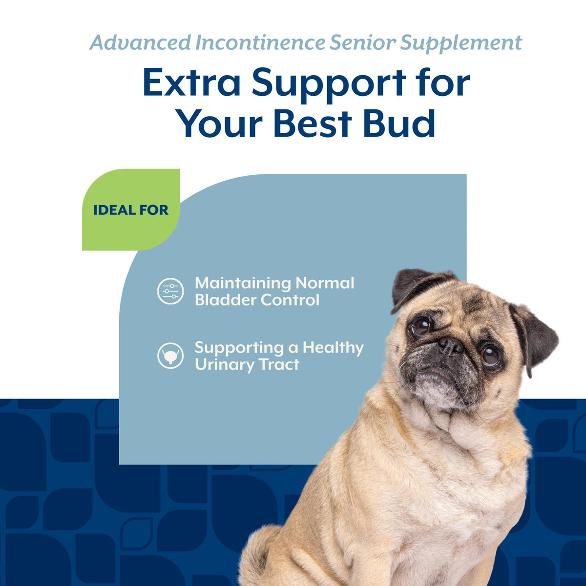 Senior Incontinence Dog Supplement 120 Ct I7916