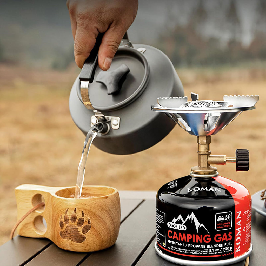 230 Gram Isobutane Butane Propane Camping Fuel Canister Pack of 6 L3347
