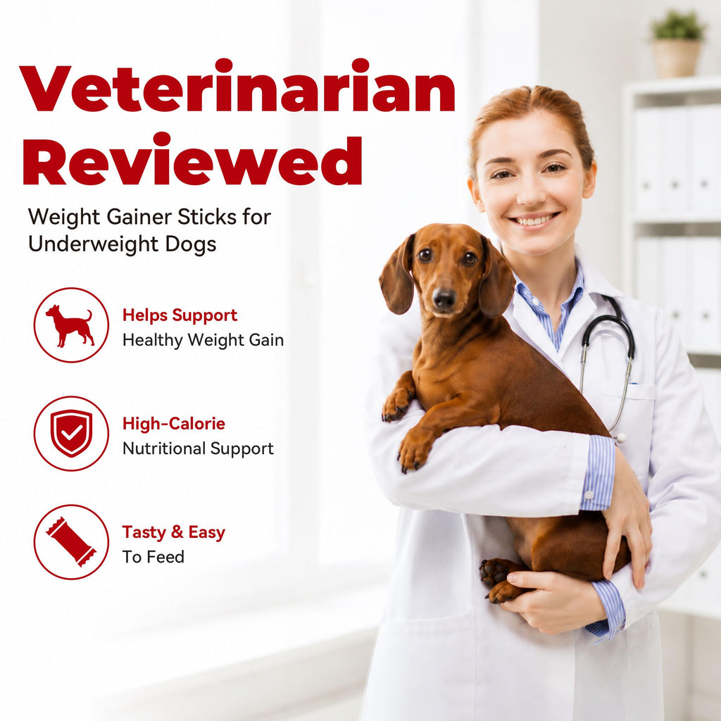 High Calorie Weight Gain Supplement for Dogs with Probiotics, Taurine & Vitamin E R9912