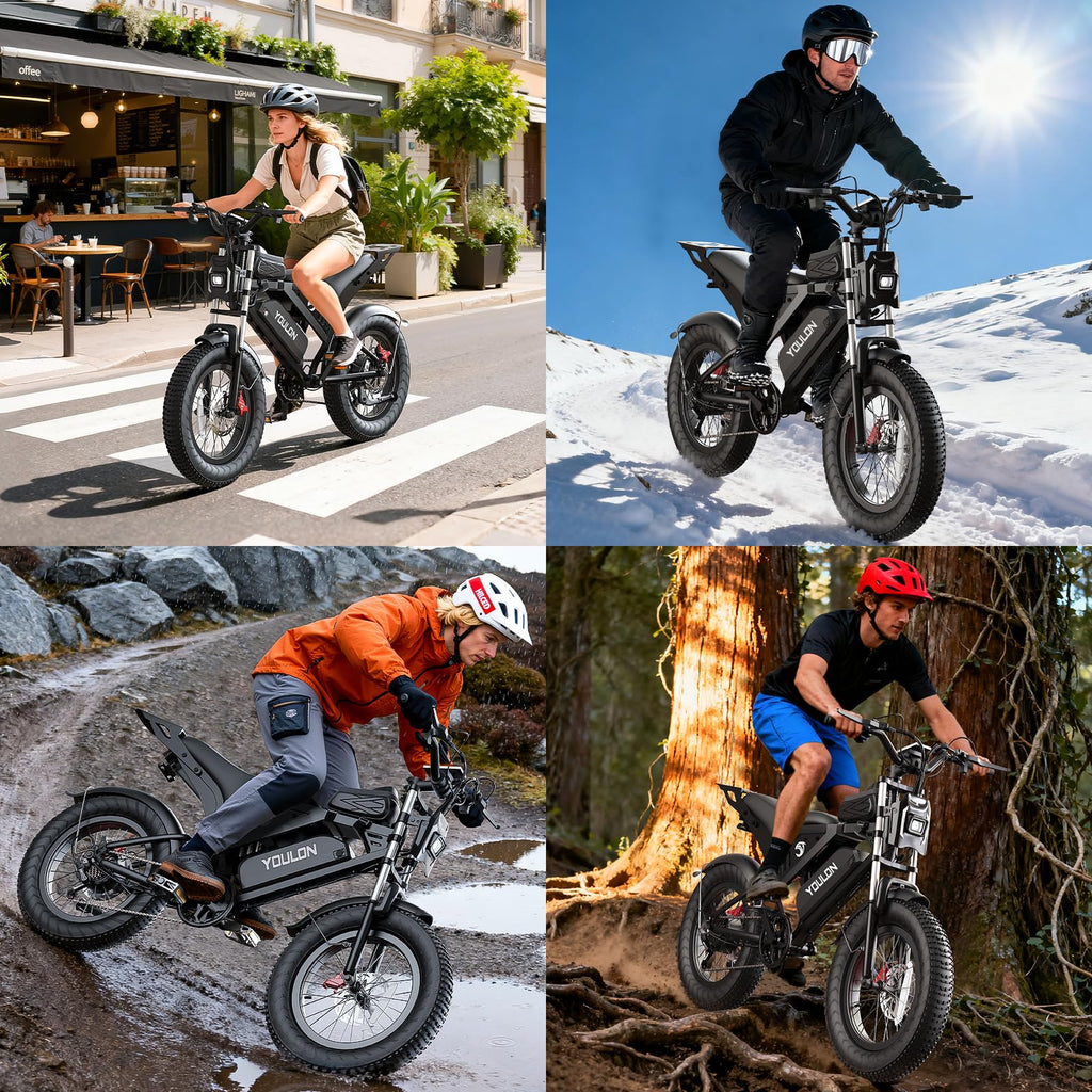 Electric Bike P238
