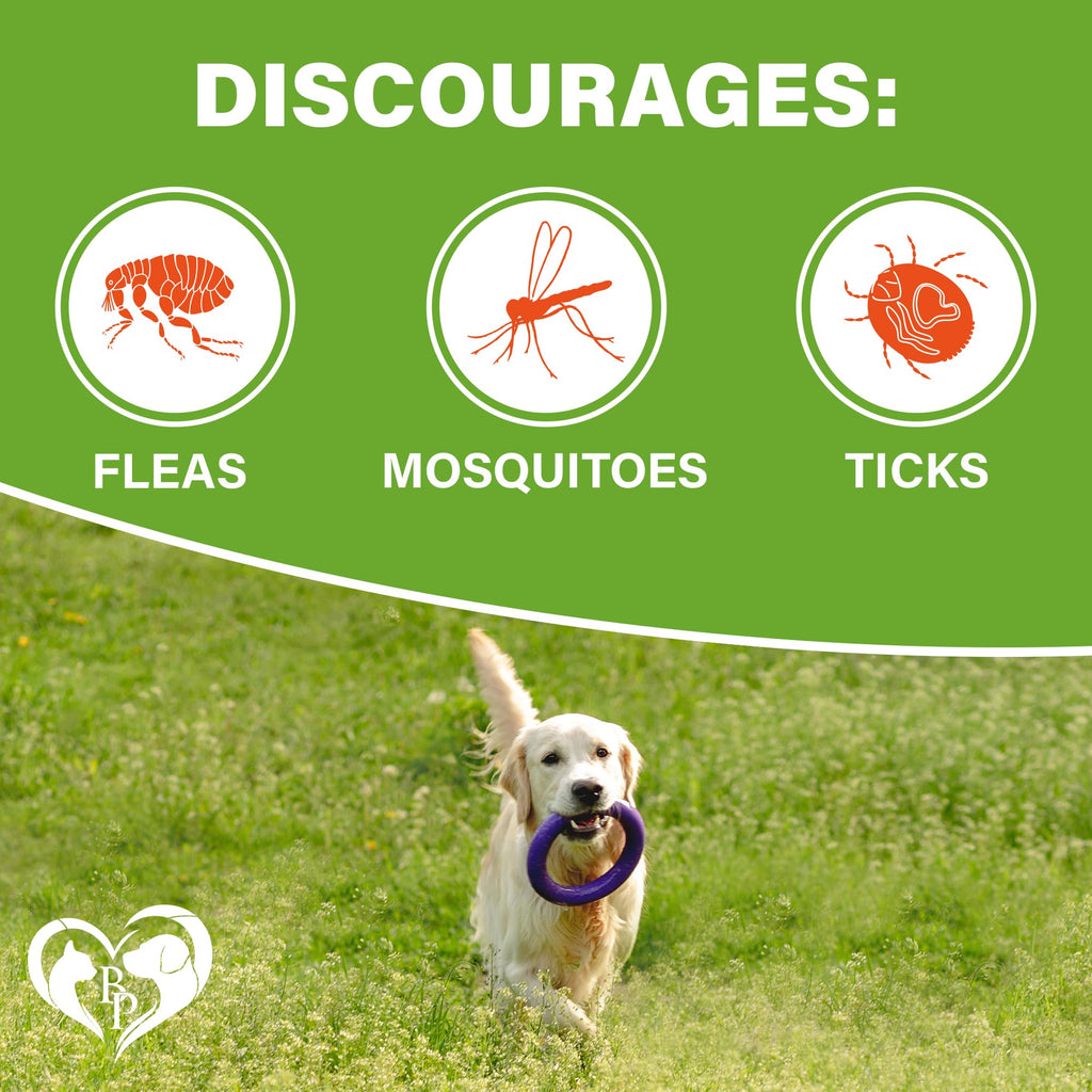 Chewable Flea and Tick Prevention Pills for Dogs H115