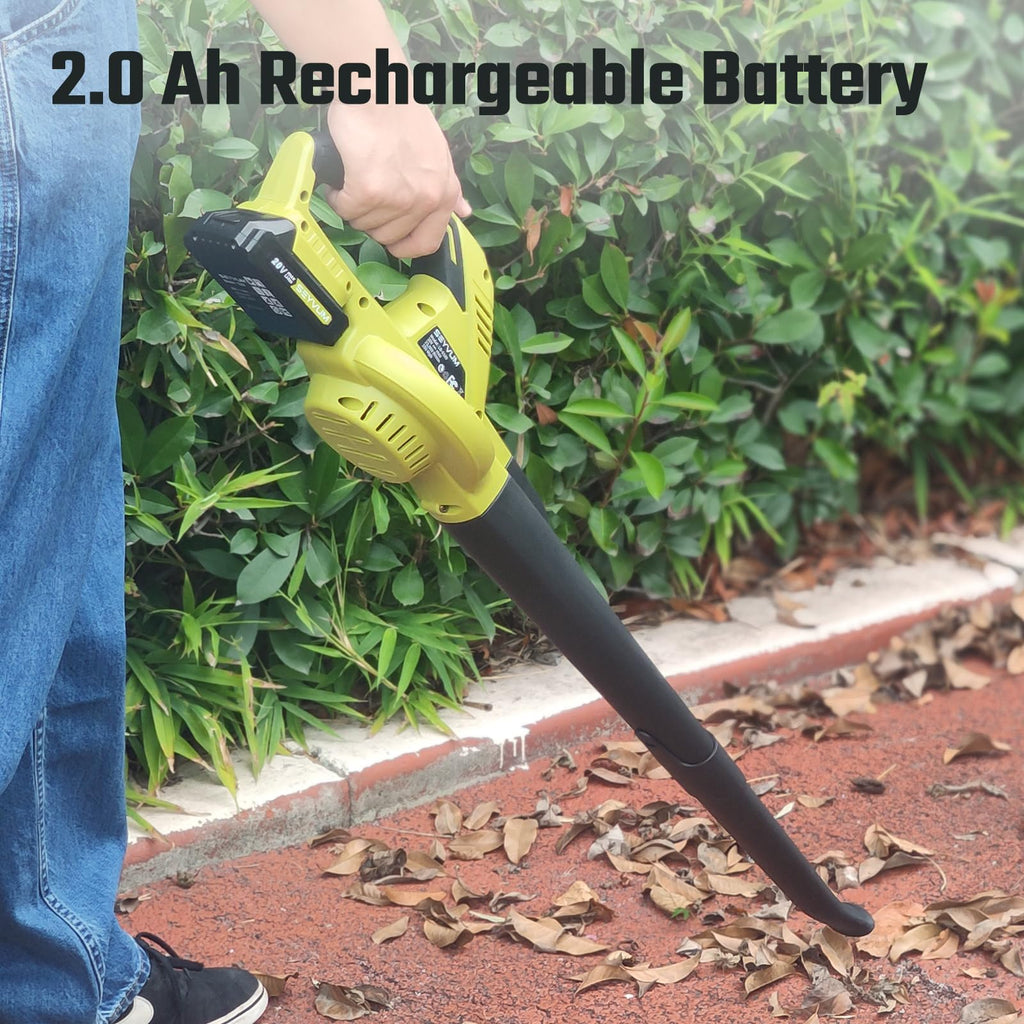 20V MAX 2.0 Ah Lithium-Ion Battery J724