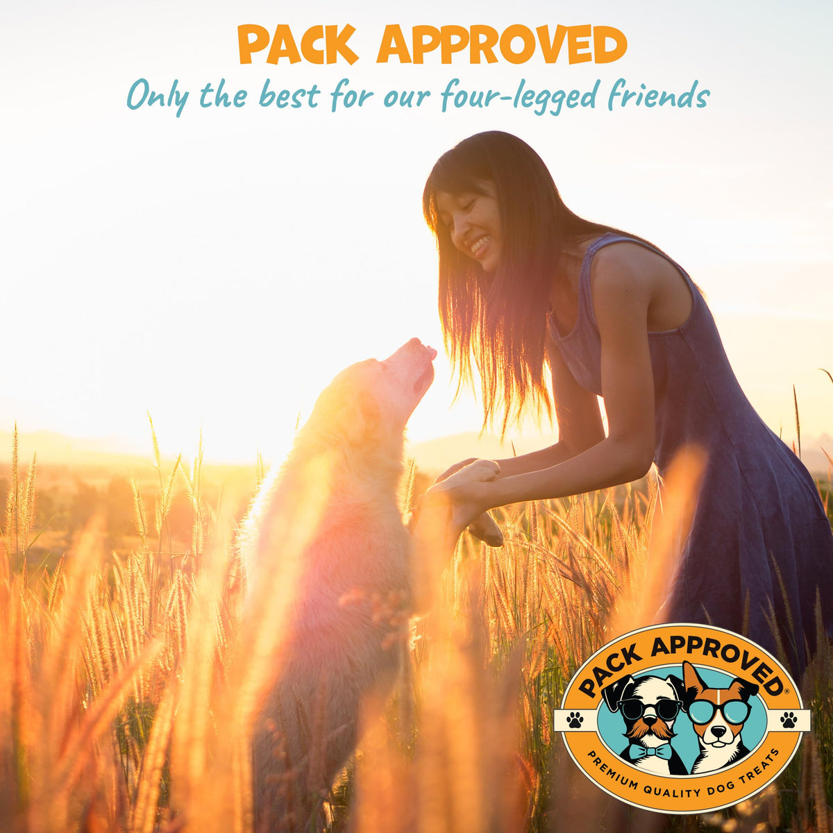 Peanut Butter Pill Wrap for Dogs 4.2oz U614
