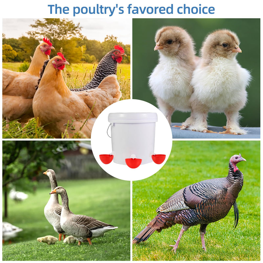 Chicken Waterer Cups D6996