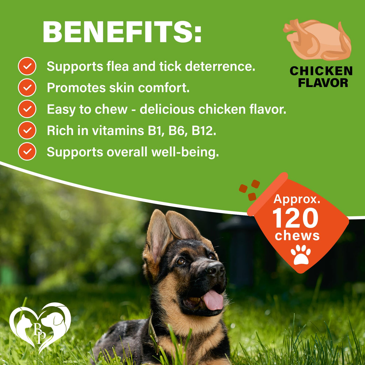 Chewable Flea and Tick Prevention Pills for Dogs H115