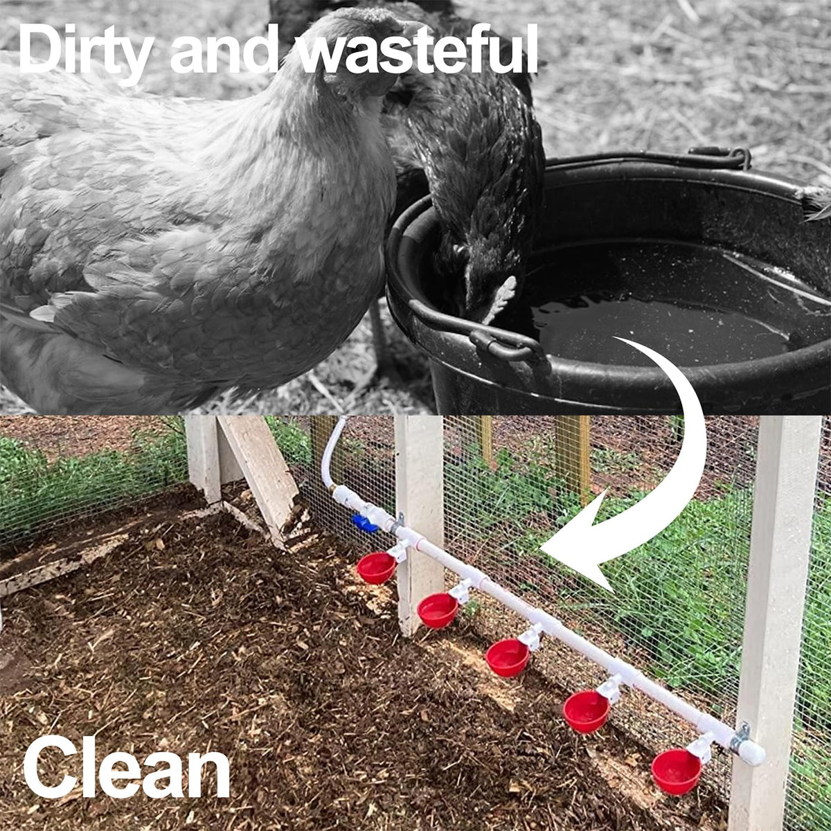 16 Pack Poultry Waterer Cups with Mounting Hole Opener G962
