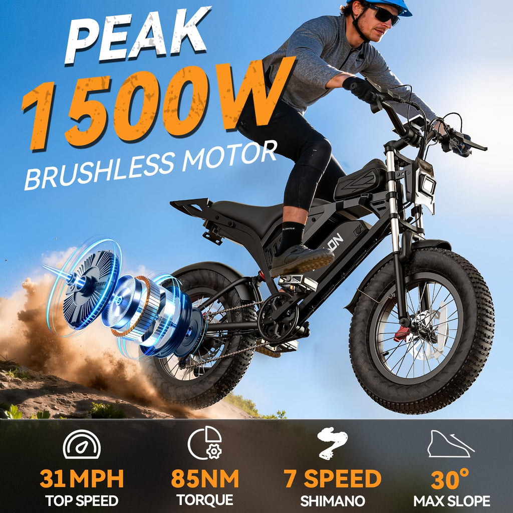 Electric Bike P238