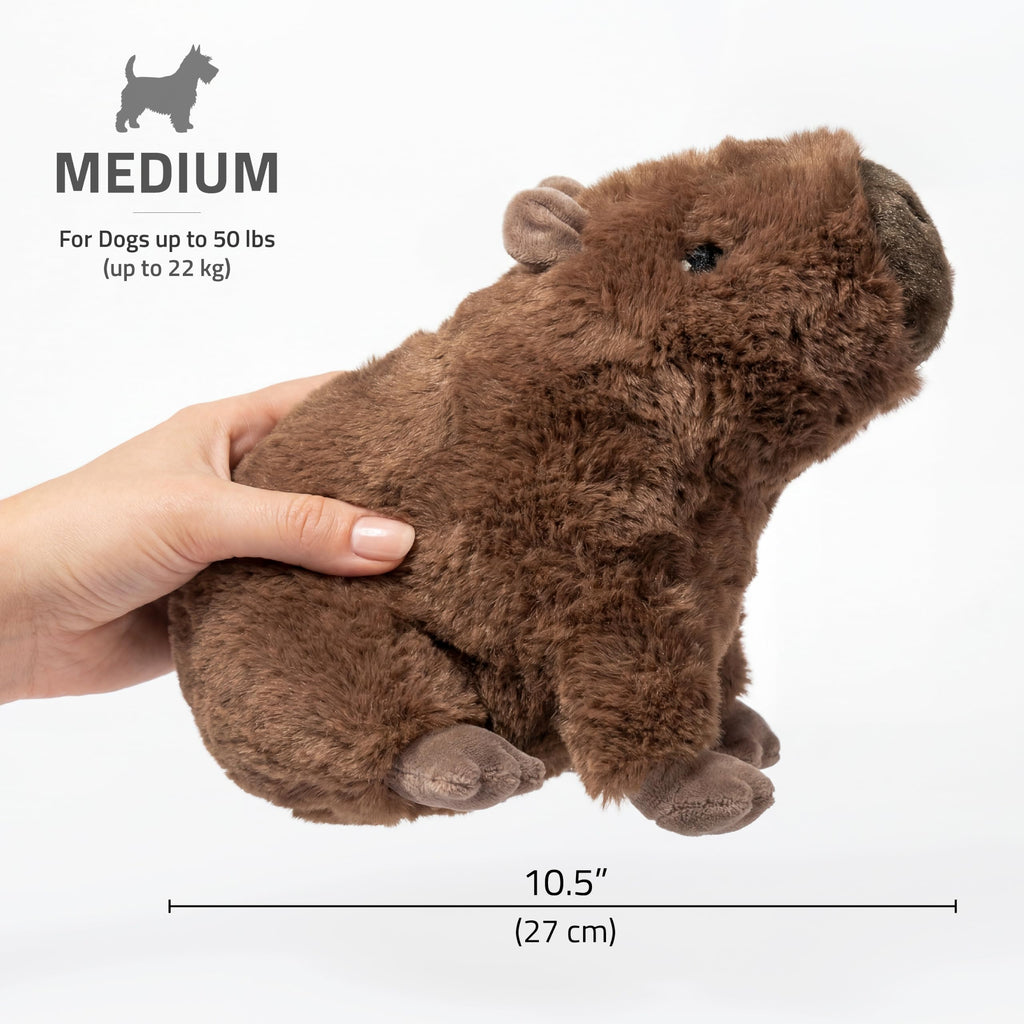 Plush Squeaky Dog Toy A30131