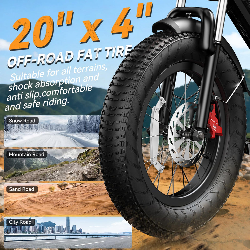 Electric Bike P238