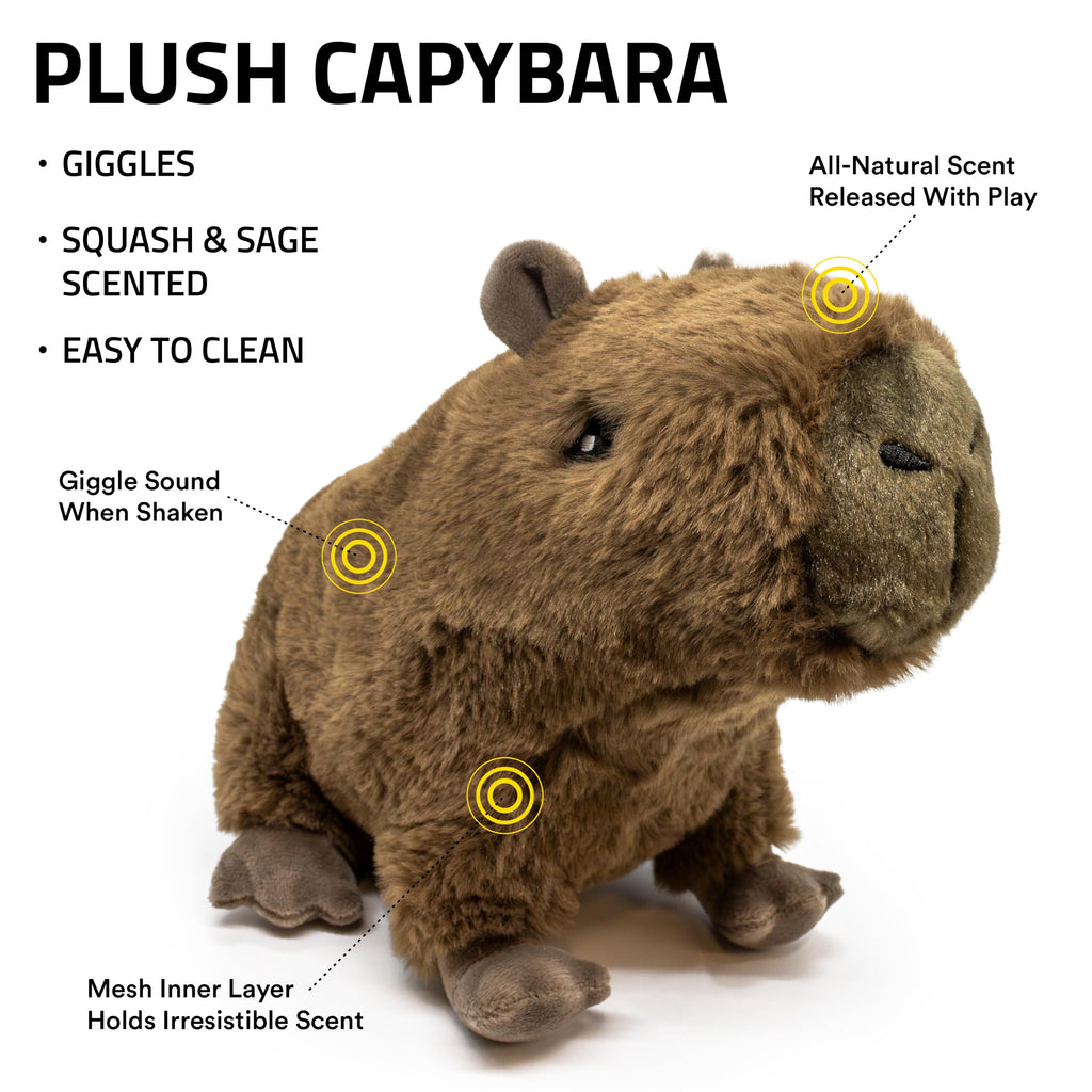 Plush Squeaky Dog Toy A30131