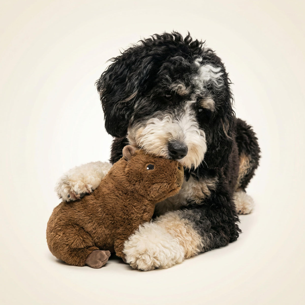 Plush Squeaky Dog Toy A30131