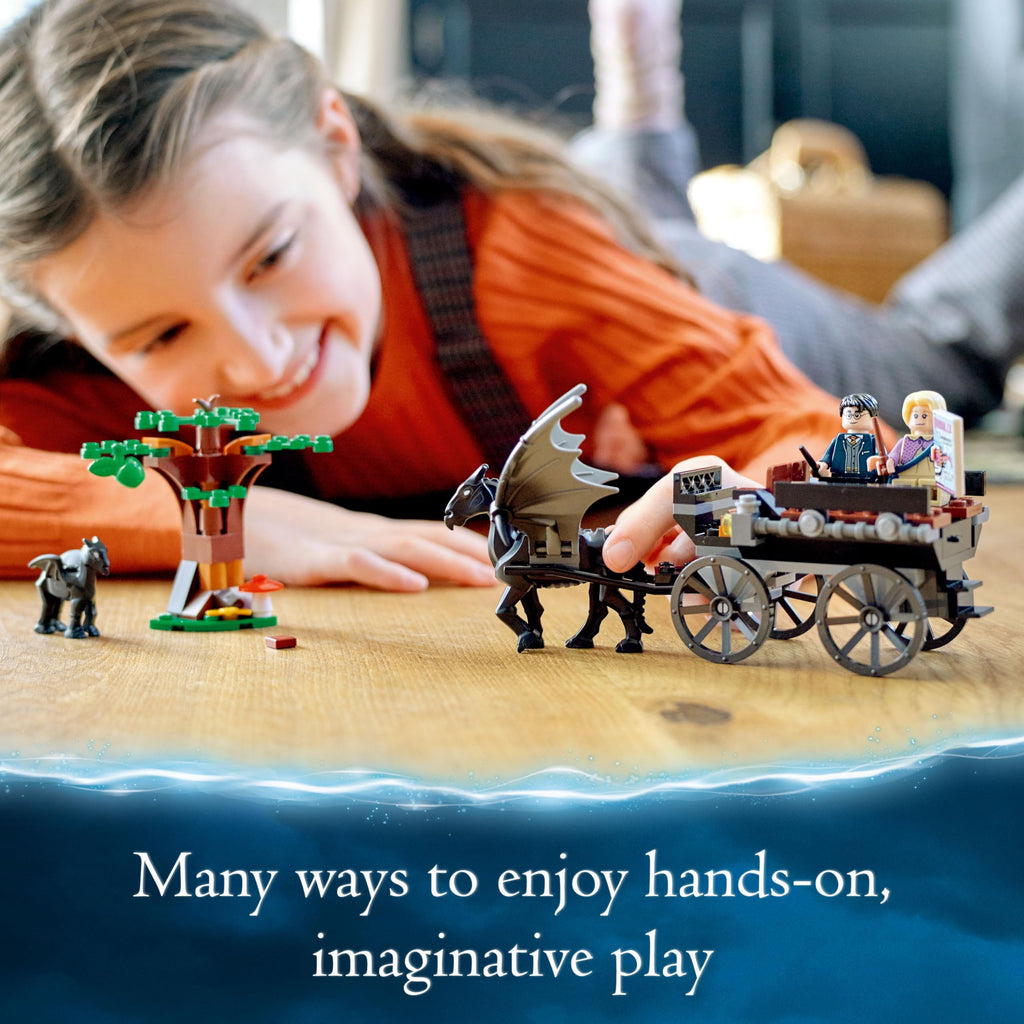 Harry Potter Hogwarts Carriage Y14177