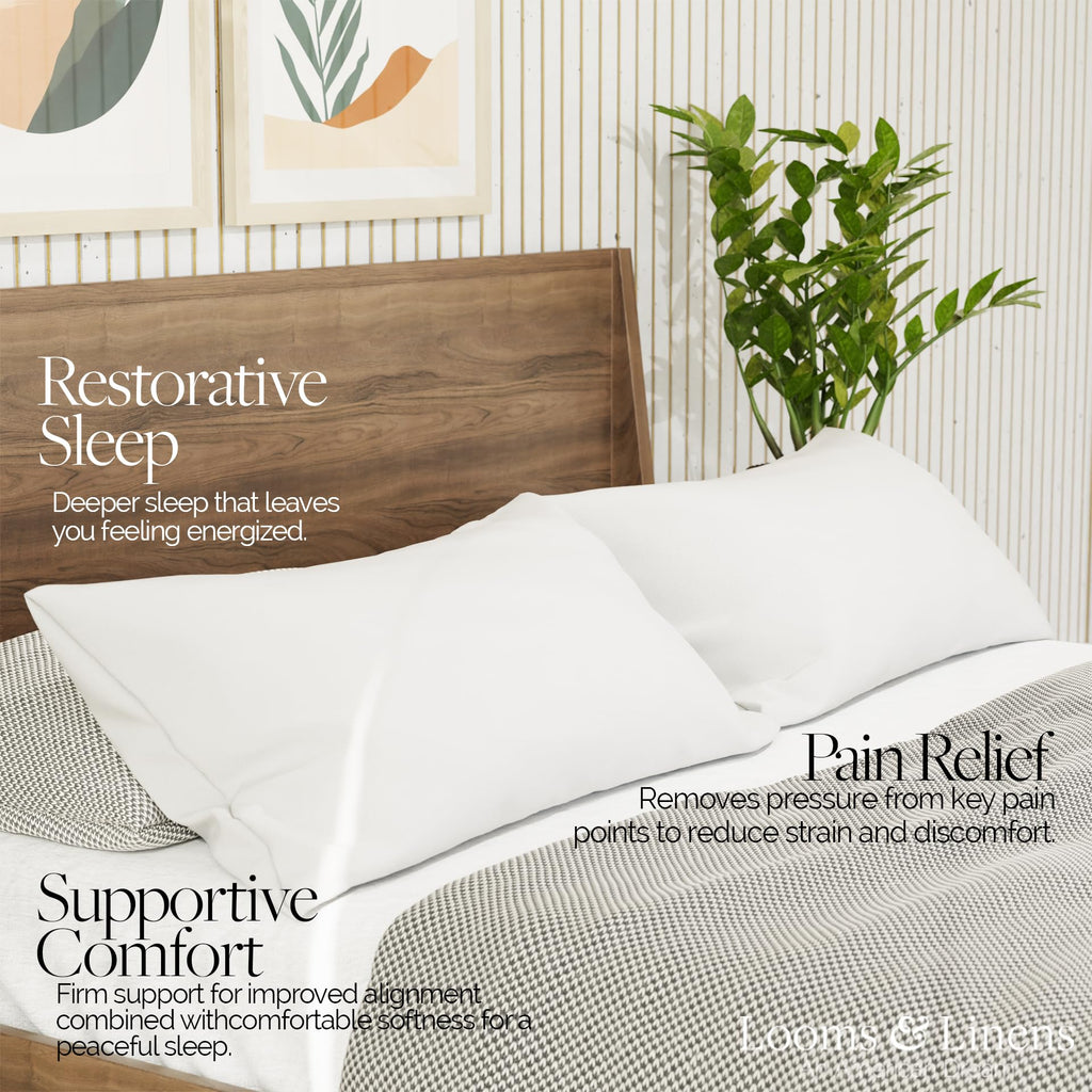 King Size Pillows Set of 2 20 x 36 Hypoallergenic Down Alternative Pillow Inserts B5381