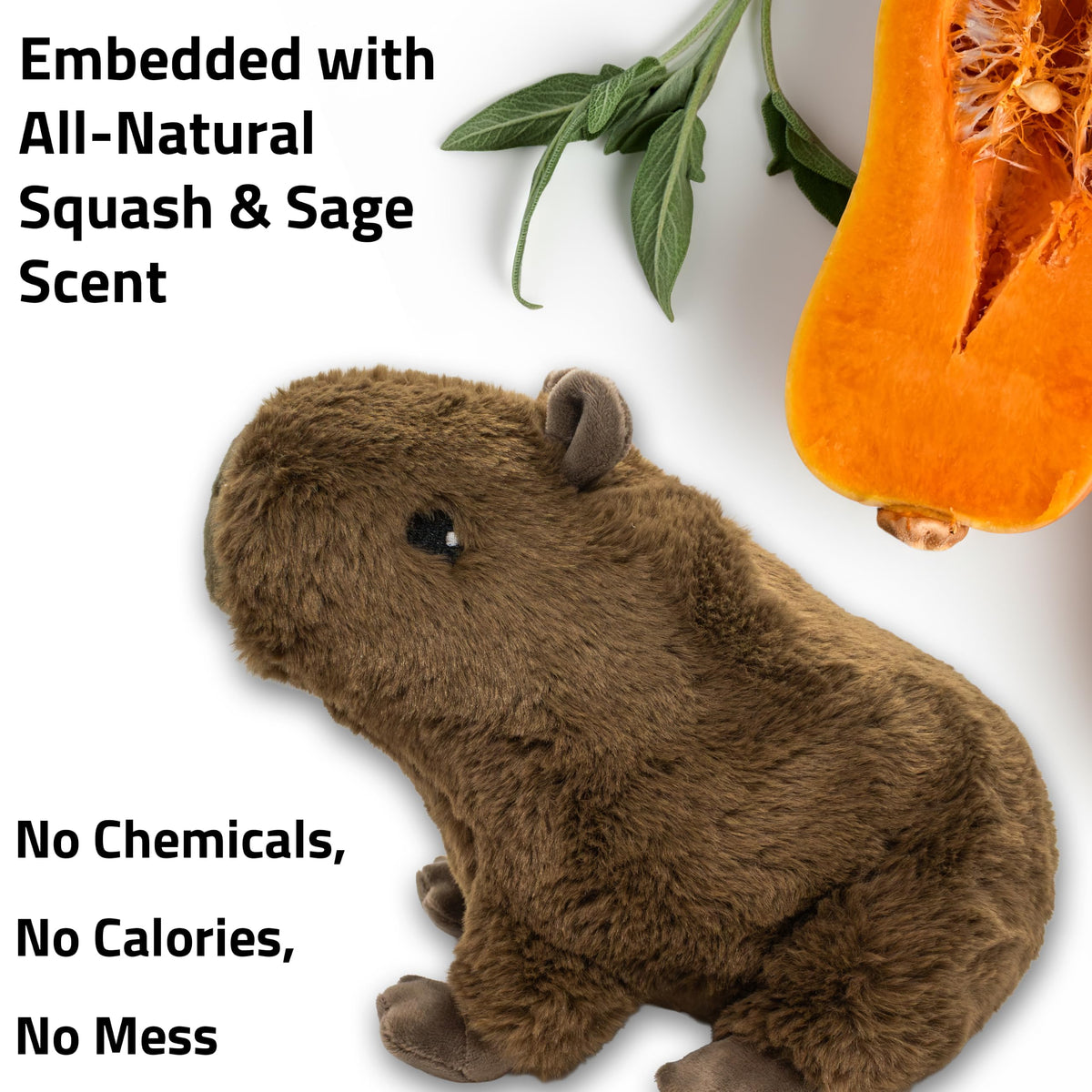 Plush Squeaky Dog Toy A30131