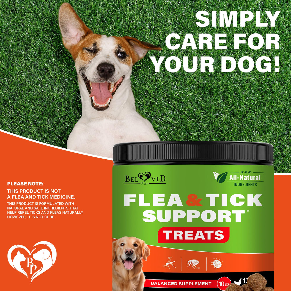 Chewable Flea and Tick Prevention Pills for Dogs H115