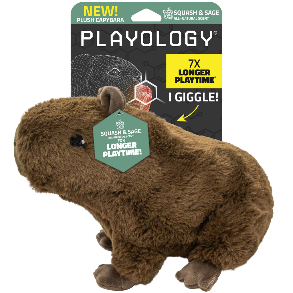 Plush Squeaky Dog Toy A30131